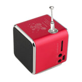 Mini Radio Receiver With USB Portable Speakers With Fm Radio Digital For PC Phone Mp3 Music Player Support Micro SD Card