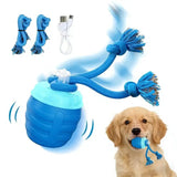 New Engaging Pet Entertainment Ball Toy Suitable for Dog and Various Occasion