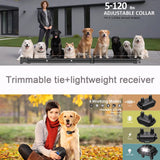 Rechargeable Wireless Dog Training Collar with Remote Control – IP67 Waterproof, 800m Range,