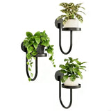 2025 New 3Pcs Wall Mounted Plant Holder Metal Flower Pot Wall Hanging Shelf for Indoor Greenery Display Efficient Design