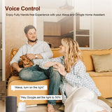 Zigbee Dimmer Switch Module App Remote Control Curtain Switch Works with Alexa Google Home 2 Gang Switch
