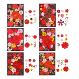 New Natural Dry Flower Leaves for Resin Molds Scrapbooking Jewelry Making