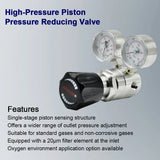 316L Stainless Steel High Pressure Gas Regulator 6000 Psig for Industrial Gas Systems OEM/ODM Service CE & ISO9001 Certified