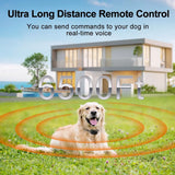 H883 Remote Walkie Talkie Dog Training Collar, Rechargeable, Shock, Vibration Beep Light  For 1/2/3 Dogs
