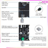 100W Mono AMP Mini Audio Power Amplifier Module 1001B Bluetooth Amplifier Board 2Pack With Box Matching