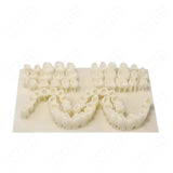 A high Quality Resins for 405nm DLP/LCD 3D Printer Lab Material Temporarys Dentures Model Resins 500g