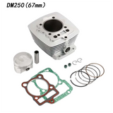 Top End Rebuild Kit 67Mm For Motorcycle Engine Cylinder Piston Gasket For Italika DM250 DM 250Cc 2020-2023