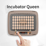 Premium Professional 50 Egg Incubators Accessories Fully Automatics /Portable Incubation and Breeding Equipment