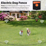 TP16 For 3 Dogs  Electric Dog Fence System Hidden Waterproof Rechargeable Pet Containment Dogs WITH 3 COLLARS