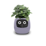 Tuya Smart Pet Planter Robot Adorable Plant Companion Smart Planter 7 Smart Sensors Time/Date/Luminance/Moisture Display Planter