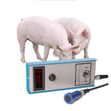 Porket Pig Back Fat Detection Equipment Precision Livestock Farming Tool for Animal Agriculture