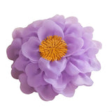 2025 New Removable Organza Pillow Cover Easy to Cleaning for Simple Maintenance and Long Time Use in Household