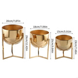 New Multiple Level Iron Plant Stand Featuring Space Efficient Design Maximizes Plant Showcases in Small Area Balcony