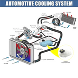 17137642160 17137609468 Cooling Water Tank For BMW F36 F33 F32 328 F30 F20 F21 F22 F31 F34 Coolant Expansion Kettle