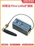 Raspberry Pi Pico/Pico W LoRa Expansion Board - SX1262/SX1268 Long Range Wireless IoT Module