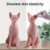 Permanent Makeup Tattoo Silicone Molds Synthetic Skin for Tattoos Women's Tattoos Material Creative Tattoo Practice Supplies
