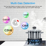 Tuya WiFi Natural Gas Alarm Plug-in Combustible Gas Detector APP Control Support Gases/Methane/Propane/Butane/LPG/LNG