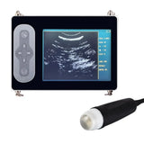 Portable Veterinary Ultrasound Scanner For Dog Cat Cattle Cow Pig Horse Ultrasound Pregnancy Testing Machine Color