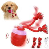 New Engaging Pet Entertainment Ball Toy Suitable for Dog and Various Occasion