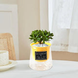 Seedlings Planting Pots Seedling Nursery Pots For Plants Nursery Plant Seedling Starting Pots Plants Flower Pots For Succulents
