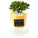 Seedlings Planting Pots Seedling Nursery Pots For Plants Nursery Plant Seedling Starting Pots Plants Flower Pots For Succulents