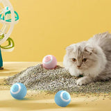 Self Rolling Ball For Cats 360 Self-Rotating Electric Ball With LED Light Pet Accessories For Exercise And Training Of Cats
