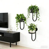 2025 New 3Pcs Wall Mounted Plant Holder Metal Flower Pot Wall Hanging Shelf for Indoor Greenery Display Efficient Design