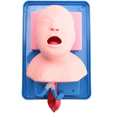 -Neonatal Tracheal Model Child Tracheal Intubation Training Model