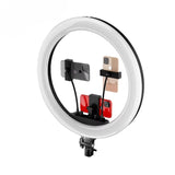 19 Inch RGB Beauty Ringlight Video Selfie LED 18 Inch Ring Light for Make up Live Broadcast With 2.1M bracket