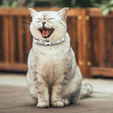 Shiny Super Diamond Rhinestone Cat Collar Puppy Baby Dog Cat Collar Microfiber Strap Kitten Accessories Puppy Collar