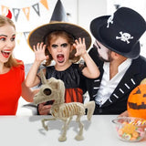 Skeleton Decor Bear Decorative Full Body Skeleton Figurine Of Bear Halloween Party Supplies For Bedroom Porch Living Room Balcon