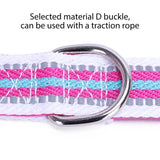 Small Dog Collar Adjustable Dog Collar With Safety Buckle Pet Supplies For Dogs Pet Collar With Metal D Buckle For Small Dogs