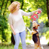 Squeaky Dog Toys Puppy Sniff Training Toy Bite-resistant Pet Chew Toys Interactive Training Toys For Small Medium Large Breed