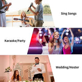 Wireless Microphone 1 Channel UHF Fixed Frequency Handheld Mic Microphone For Party Karaoke Professional Church Show Meeting
