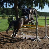 Women's Horse Riding Pants Full-Seat Breeches Equestrian Schooling Tights Outdoor Sportswear Knight Equipment Clothes