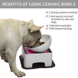 Raised Ceramic Feeding Bowl, Elevated Dog Bowls Set Anti-Slip For Small Medium Dogs And Cats,White