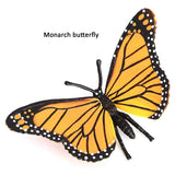 New Butterfly Life Board Set Lifestyle Stages Kids Teaching Tools Animal Growth Cycle Educational Toys