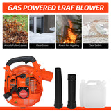 Gas Powered Leaf 2-Stroke Engine Air Volume 0.65L Oil Tank Handheld Powerful Wind Snow Blower for Lawn Garden
