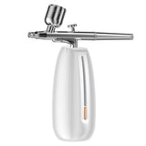 Face Moisturizing Ozone Cool Nano-ionic Sprayer Portable USB Face Mini Nano Mist Spray