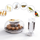 Incubator for Hatching with Automatic Turning Led Egg Test Lamp Clear Lid 12 Eggs Poultry Farm Hatcher Tools