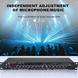 Pre Reverb Effector, Digital Audio Processor, Professional Microphone, Anti Screaming Reverber, Mixer, Intellig
