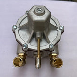 Automobile Natural Accessories LPG Liquefied Gas Pressure Reducing Vae Vehicle Direct Injection Evaporator