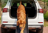 Pet Folding Ladder Slope Non-slip Plastic Stairs