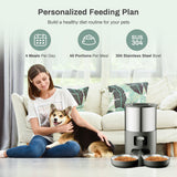 4L APP Pet Feeder Large Capacity Stainless Steel Food Bucket Automatic Cat and Dog Feeding Bowl