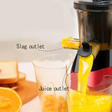 Portable Slow Masticating Juicer - Cold Press Extractor with Two Speed Modes, Juice Maker