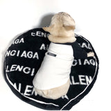 French Schnauzer Corgi Mat Kennel For All Seasons