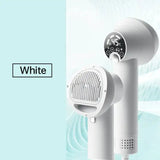 Low Noise with Slicker Brush Portable Hair Blower Adjustable Temp Blow Dryer for Cat Dog Pet Grooming Tool