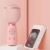 6 Sound Effects Wireless Karaoke Microphone Type-C Rechargeable Bluetooth-Compatible 5.0 for Adults Children