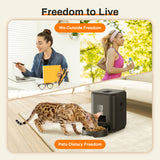 2l Button USB Automatic Smart Cat Feeder Dog Slow Dispenser with Voice Timing Pet Feeding pet Supplie Food Bowl