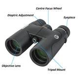 Celestron 8x42 10x42 Nature DX ED Premium Astronomy Binoculars Fully Multi-coated Phase-Corrected BAK4 Roof  Fog & Waterproof